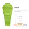 MINI Green Regular